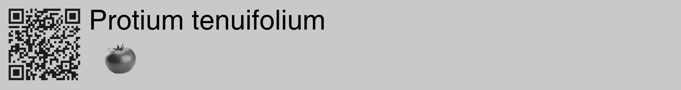 Étiquette de : Protium tenuifolium - format c - style noire54_basique_basiquehel avec qrcode et comestibilité simplifiée