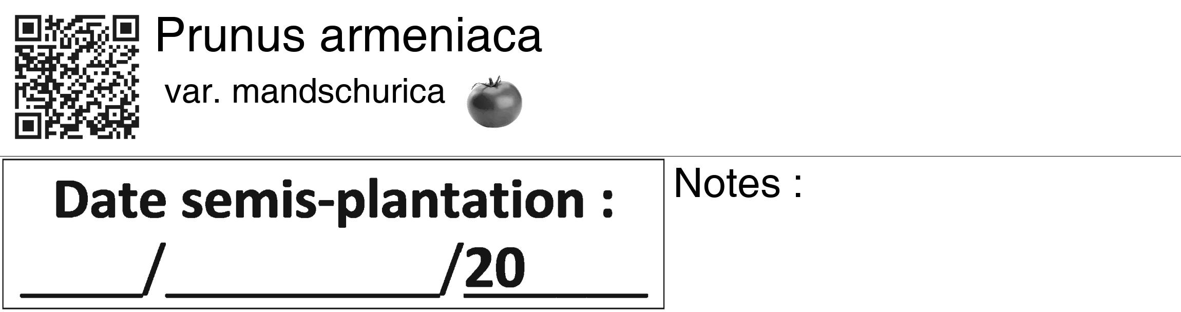 Étiquette de : Prunus armeniaca var. mandschurica - format c - style noire60_basiquegrrvhel avec qrcode et comestibilité simplifiée