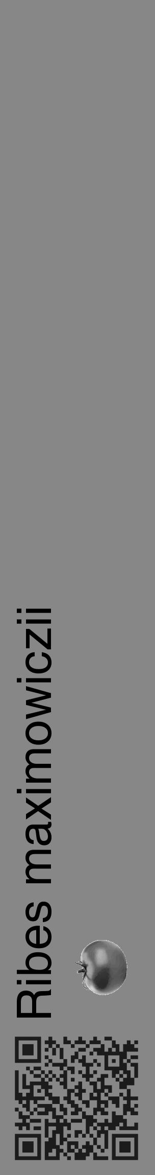Étiquette de : Ribes maximowiczii - format c - style noire12_basique_basiquehel avec qrcode et comestibilité simplifiée - position verticale