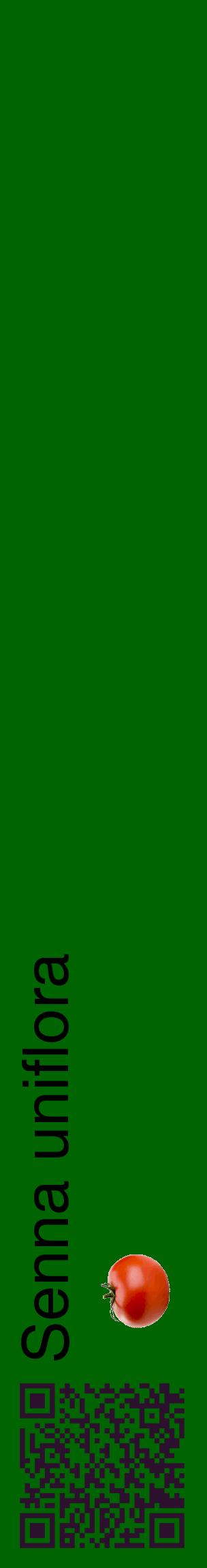 Étiquette de : Senna uniflora - format c - style noire8_basiquehel avec qrcode et comestibilité simplifiée