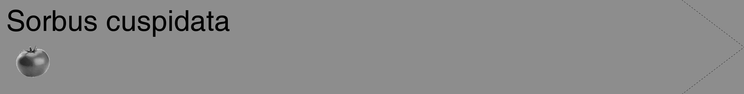 Étiquette de : Sorbus cuspidata - format c - style noire2_simple_simplehel avec comestibilité simplifiée