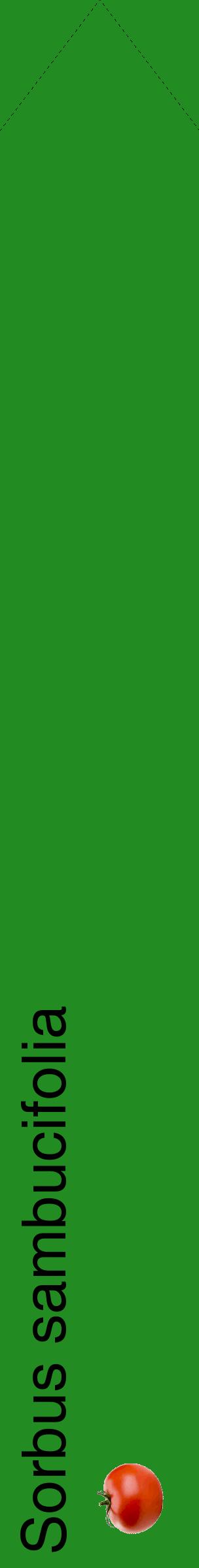 Étiquette de : Sorbus sambucifolia - format c - style noire10_simplehel avec comestibilité simplifiée