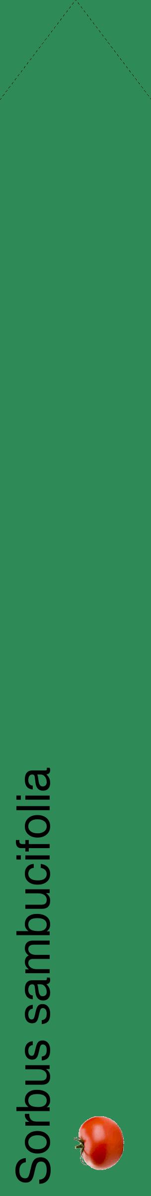 Étiquette de : Sorbus sambucifolia - format c - style noire11_simplehel avec comestibilité simplifiée