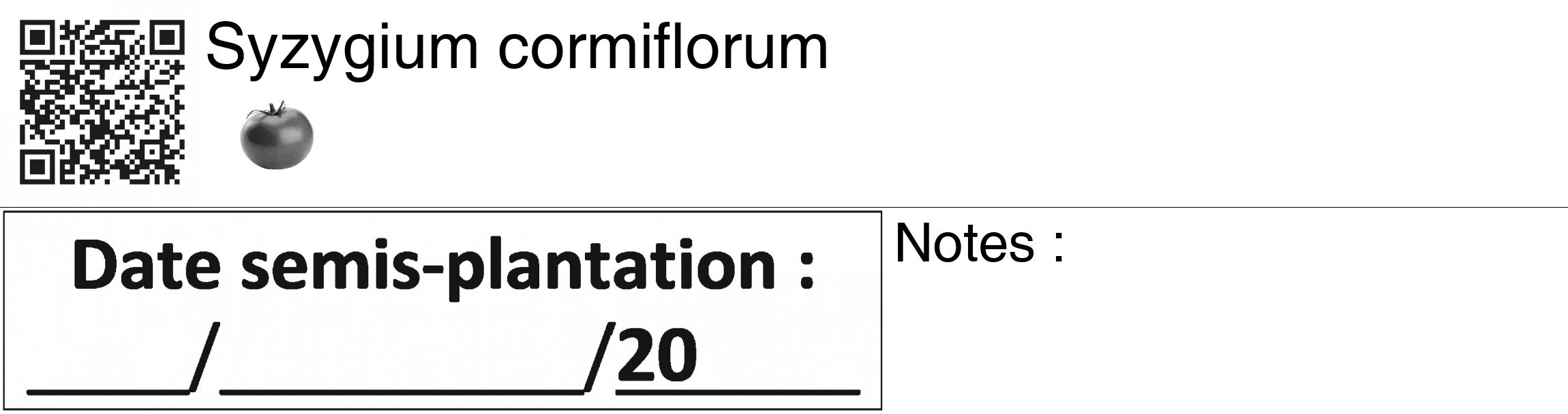 Étiquette de : Syzygium cormiflorum - format c - style noire60_basiquegrrvhel avec qrcode et comestibilité simplifiée