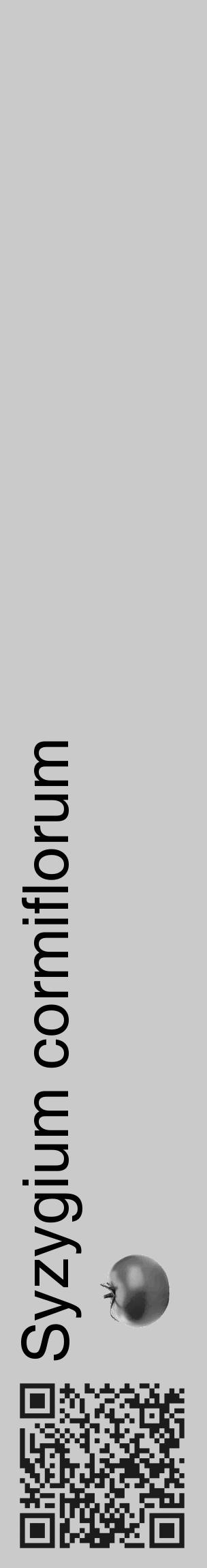 Étiquette de : Syzygium cormiflorum - format c - style noire21_basique_basiquehel avec qrcode et comestibilité simplifiée - position verticale