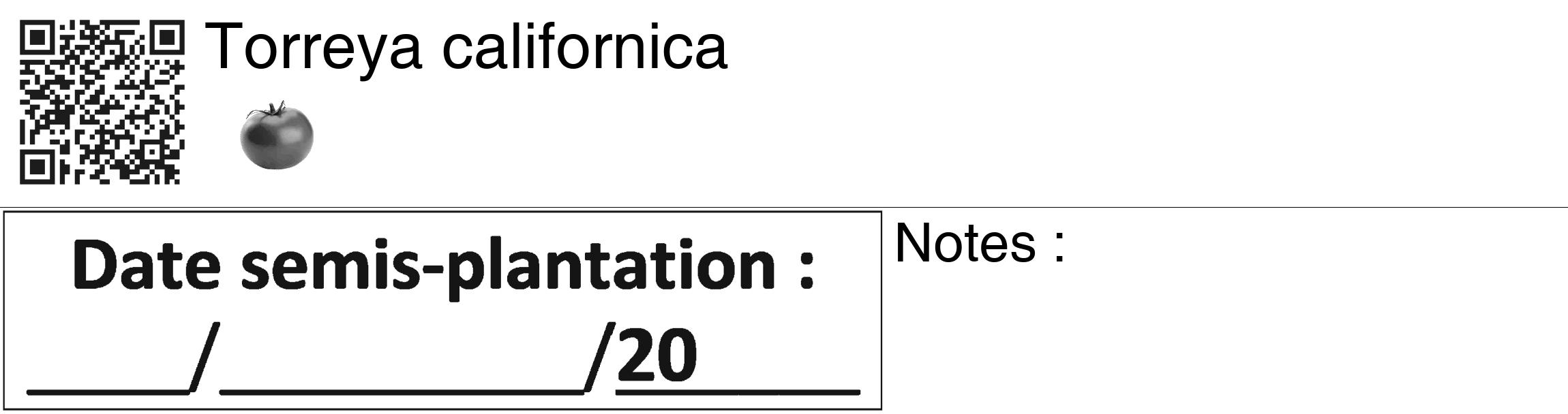 Étiquette de : Torreya californica - format c - style noire60_basiquegrrvhel avec qrcode et comestibilité simplifiée