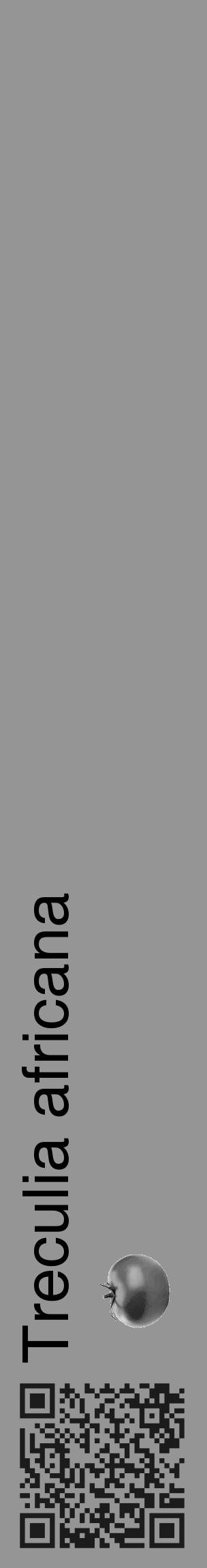 Étiquette de : Treculia africana - format c - style noire16_basique_basiquehel avec qrcode et comestibilité simplifiée - position verticale