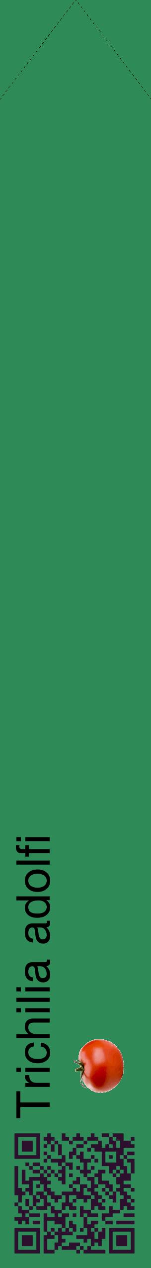 Étiquette de : Trichilia adolfi - format c - style noire11_simplehel avec qrcode et comestibilité simplifiée