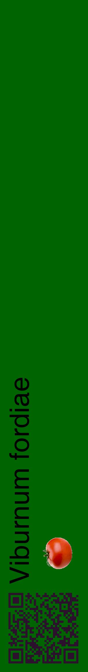 Étiquette de : Viburnum fordiae - format c - style noire8_basiquehel avec qrcode et comestibilité simplifiée
