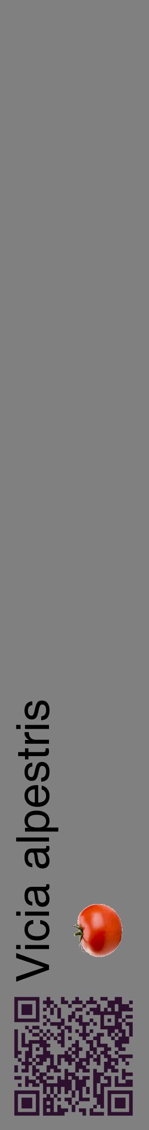 Étiquette de : Vicia alpestris - format c - style noire57_basiquehel avec qrcode et comestibilité simplifiée