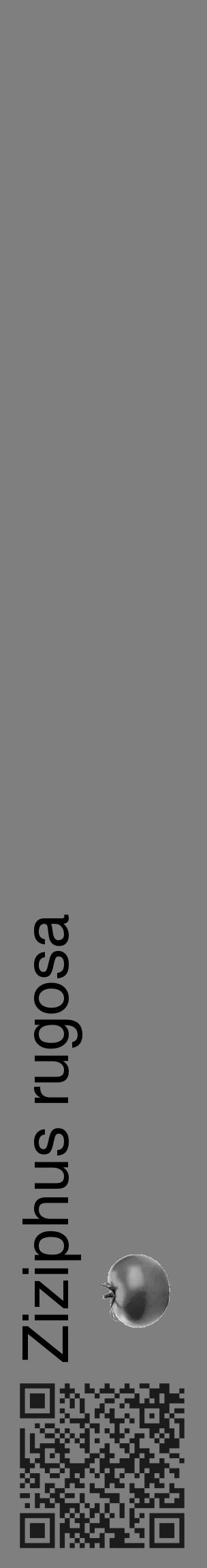 Étiquette de : Ziziphus rugosa - format c - style noire57_basique_basiquehel avec qrcode et comestibilité simplifiée - position verticale