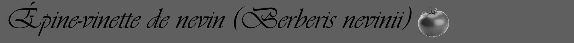 Étiquette de : Berberis nevinii - format a - style noire10viv avec comestibilité simplifiée