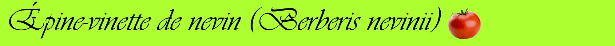 Étiquette de : Berberis nevinii - format a - style noire17basiqueviv avec comestibilité simplifiée