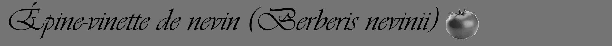 Étiquette de : Berberis nevinii - format a - style noire26viv avec comestibilité simplifiée