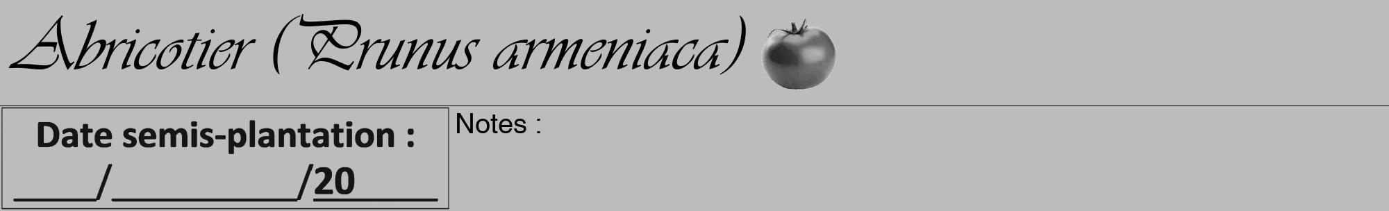 Étiquette de : Prunus armeniaca - format a - style noire1viv avec comestibilité simplifiée
