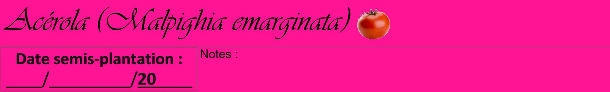 Étiquette de : Malpighia emarginata - format a - style noire43viv avec comestibilité simplifiée