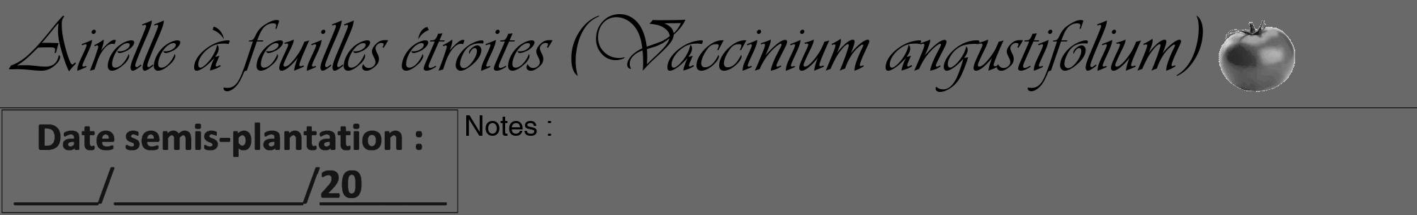 Étiquette de : Vaccinium angustifolium - format a - style noire11viv avec comestibilité simplifiée