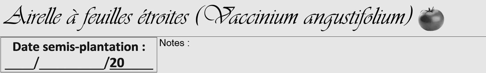 Étiquette de : Vaccinium angustifolium - format a - style noire18viv avec comestibilité simplifiée