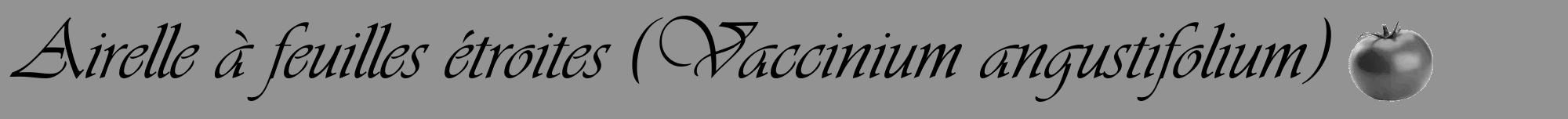 Étiquette de : Vaccinium angustifolium - format a - style noire44viv avec comestibilité simplifiée
