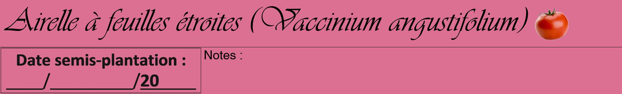 Étiquette de : Vaccinium angustifolium - format a - style noire44viv avec comestibilité simplifiée