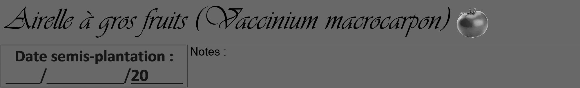 Étiquette de : Vaccinium macrocarpon - format a - style noire43viv avec comestibilité simplifiée