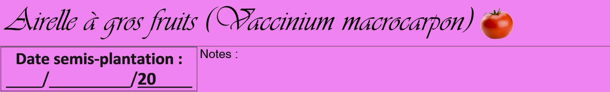 Étiquette de : Vaccinium macrocarpon - format a - style noire53basiqueviv avec comestibilité simplifiée