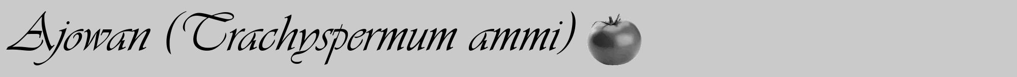 Étiquette de : Trachyspermum ammi - format a - style noire21viv avec comestibilité simplifiée