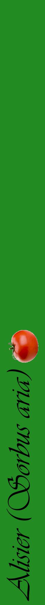 Étiquette de : Sorbus aria - format a - style noire10viv avec comestibilité simplifiée