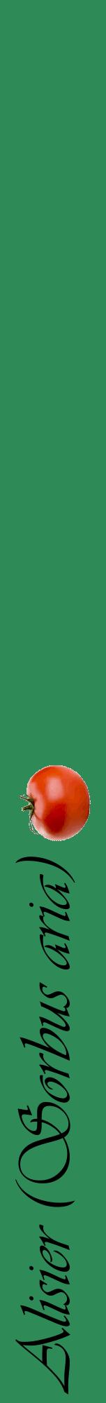 Étiquette de : Sorbus aria - format a - style noire11viv avec comestibilité simplifiée