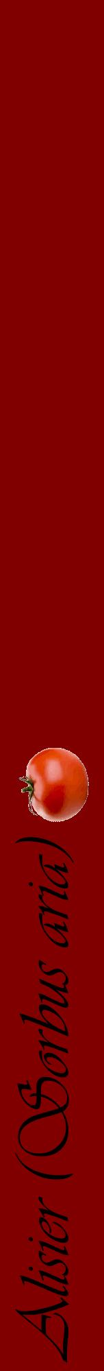 Étiquette de : Sorbus aria - format a - style noire29viv avec comestibilité simplifiée