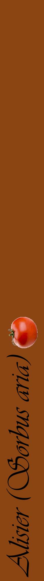 Étiquette de : Sorbus aria - format a - style noire30viv avec comestibilité simplifiée
