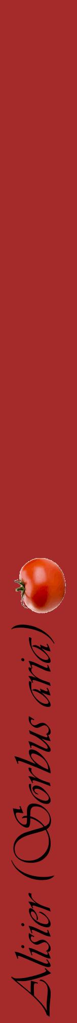 Étiquette de : Sorbus aria - format a - style noire33viv avec comestibilité simplifiée