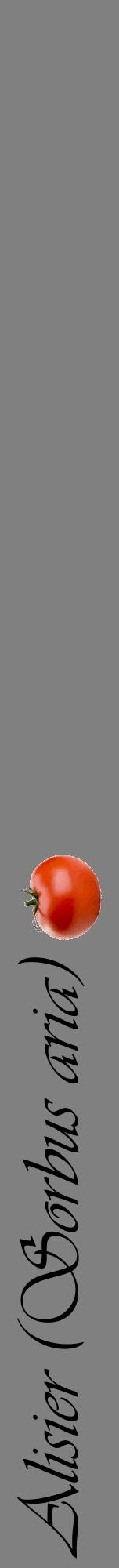 Étiquette de : Sorbus aria - format a - style noire57viv avec comestibilité simplifiée