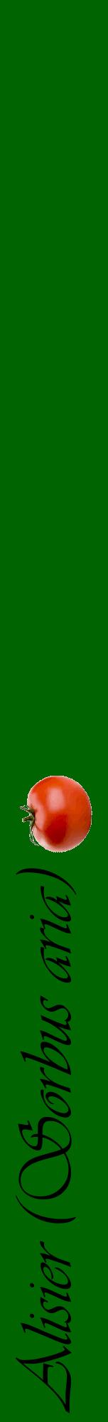 Étiquette de : Sorbus aria - format a - style noire8viv avec comestibilité simplifiée