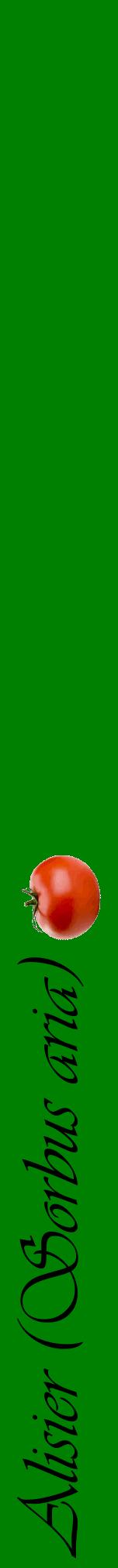 Étiquette de : Sorbus aria - format a - style noire9viv avec comestibilité simplifiée