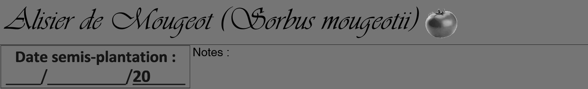 Étiquette de : Sorbus mougeotii - format a - style noire5viv avec comestibilité simplifiée