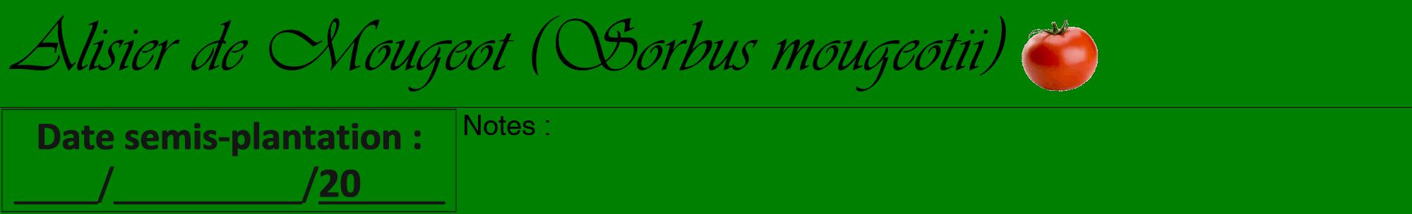 Étiquette de : Sorbus mougeotii - format a - style noire9basiqueviv avec comestibilité simplifiée