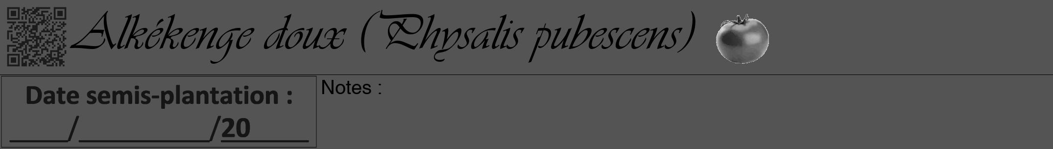 Étiquette de : Physalis pubescens - format a - style noire30viv avec qrcode et comestibilité simplifiée