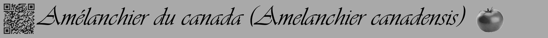 Étiquette de : Amelanchier canadensis - format a - style noire13viv avec qrcode et comestibilité simplifiée