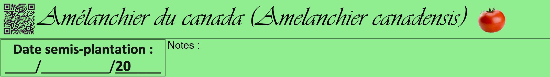 Étiquette de : Amelanchier canadensis - format a - style noire15simpleviv avec qrcode et comestibilité simplifiée