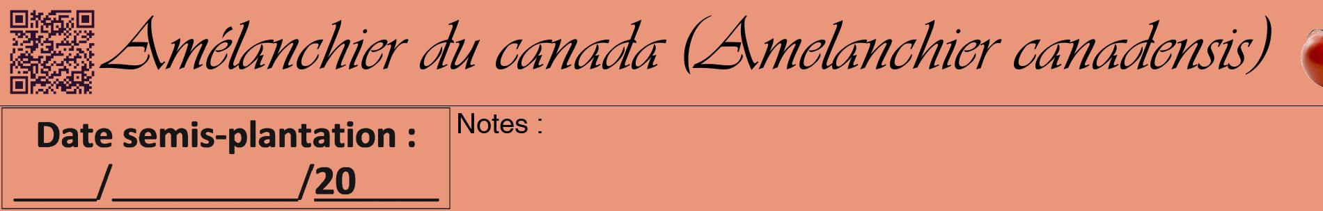 Étiquette de : Amelanchier canadensis - format a - style noire37basiqueviv avec qrcode et comestibilité simplifiée
