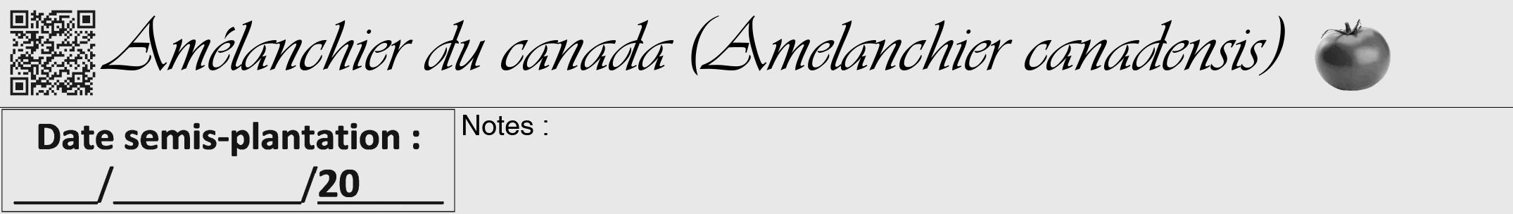 Étiquette de : Amelanchier canadensis - format a - style noire55viv avec qrcode et comestibilité simplifiée