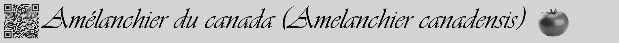 Étiquette de : Amelanchier canadensis - format a - style noire56viv avec qrcode et comestibilité simplifiée
