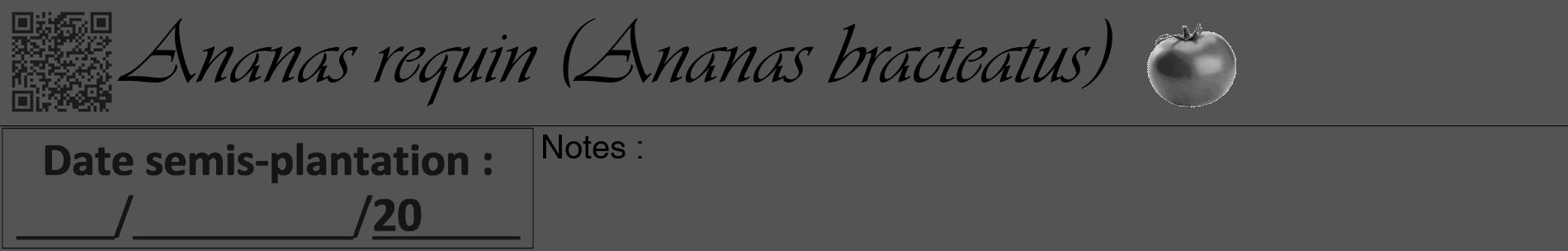 Étiquette de : Ananas bracteatus - format a - style noire36basiqueviv avec qrcode et comestibilité simplifiée