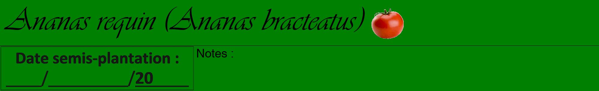 Étiquette de : Ananas bracteatus - format a - style noire9viv avec comestibilité simplifiée