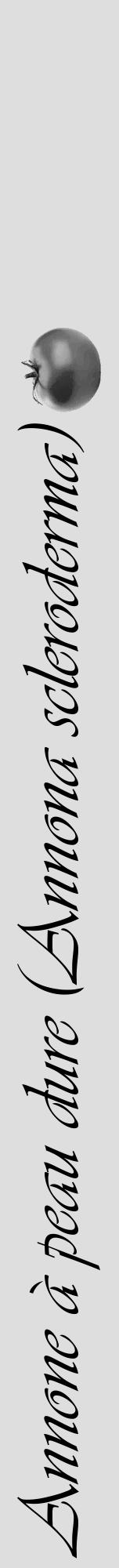 Étiquette de : Annona scleroderma - format a - style noire20viv avec comestibilité simplifiée - position verticale