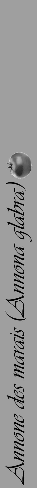 Étiquette de : Annona glabra - format a - style noire24viv avec comestibilité simplifiée - position verticale