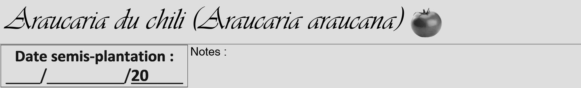 Étiquette de : Araucaria araucana - format a - style noire20viv avec comestibilité simplifiée