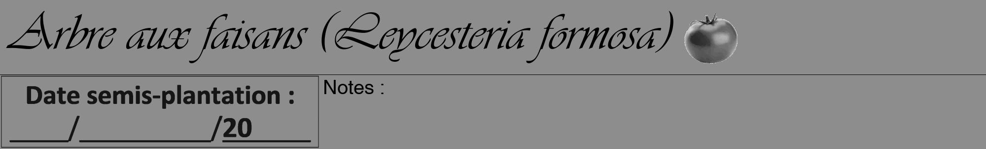 Étiquette de : Leycesteria formosa - format a - style noire2viv avec comestibilité simplifiée