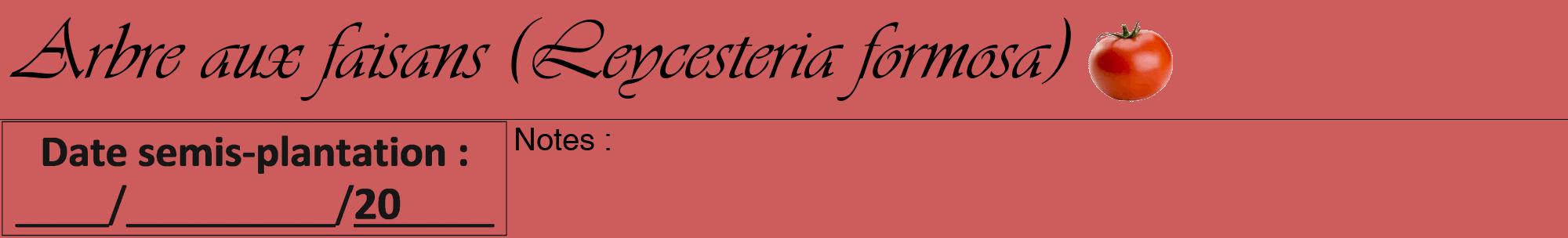 Étiquette de : Leycesteria formosa - format a - style noire35viv avec comestibilité simplifiée